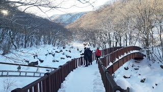 Hiking the Hallasan in Winter Eorimok Trail [upl. by Aiuqes]