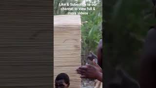 mafwe traditional wedding bride handover Please like amp subscribe to our channel for more africa [upl. by Maxfield455]