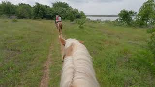 May  Marshall Creek Ranch  Horseback Riding Part 2 [upl. by Meean]