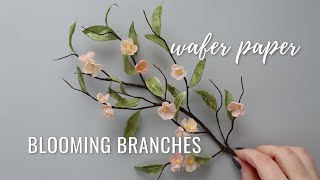 How to make Wafer Paper Leaves and Spring Flowers  Florea Cakes [upl. by Yhtak]