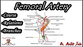 Como hacer una máquina de pierna extensión – femoral sentado Funcionamiento [upl. by Rockey]