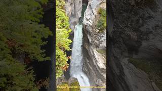 Maligne Canyon Waterfall  Jasper  Alberta  Canada waterfall alberta samanthabadra [upl. by Neumeyer]