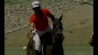 Polocrosse  Images In Motion Part 2 [upl. by Allerbag]