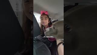 Skinny Pittie Is Transformed By Little Girls Love  The Dodo [upl. by Trenton]