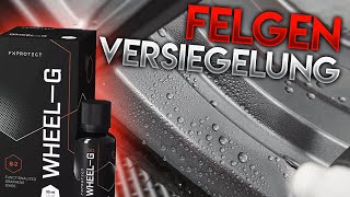 Endlich Felgen versiegeln mit dem neuen FX Protect WHEELG B2  Anleitung mit allen Infos [upl. by Leirea]