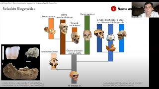 Las cinco especies humanas de Atapuerca [upl. by Ardnaeed]