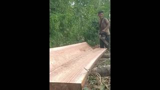 Chainsaw best skill woodworking stihlchainsaw carpentry woodwork shortvideo [upl. by Fleisig]