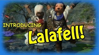 Introducing Lalafell [upl. by Chladek]