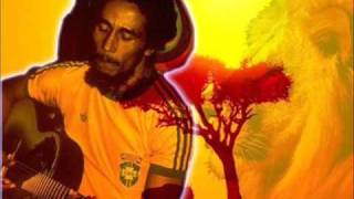 Bob Marley  Roots Natty Roots lyrics [upl. by Anaitit]