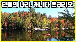 단풍의 나라에서 가을을 만끽하다 캐나다 온타리오 KBS20191123 방송 [upl. by Elorac]