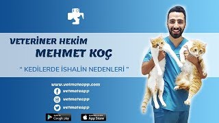 KEDİLER NEDEN İSHAL OLUR NASIL TEDAVİ EDİLİR [upl. by Earized468]