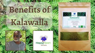 🌿 What Are The Benefits Of Kalawalla 🌿 Dr Sebi Approved Electrical Alkaline Herbs Purge Mucus 🌿 [upl. by Orin]