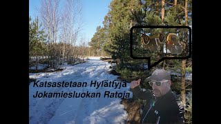 Katsastetaan hylättyjä jokamiesluokan ratoja [upl. by Ardeen]