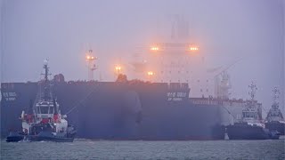 4K SHIPSPOTTING PORT OF ROTTERDAM 2024 WITH MY BIGGEST BULK CARRIER I EVER FILM [upl. by Ynar]