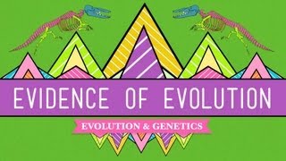 Evolution Its a Thing  Crash Course Biology 20 [upl. by Salisbury407]