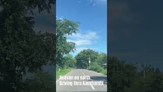 Heaven on Earth  Drive thru Kaushambhi india travelindia gardensharden  planindia [upl. by Sisely]