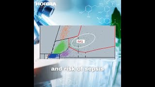 What are Granulocytes and its types  Neutrophils  Basophils  Eosinophils  Mast cells [upl. by Kelila]