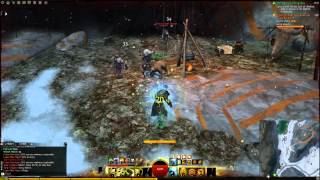 Guild Wars 2 Totem amp Bone Farm Location Guide [upl. by Amrak]