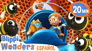 Cómo Las Abejas Hacen Miel  Blippi Wonders  Caricaturas para niños  Videos educativos para niños [upl. by Bonnes]