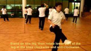 Tai Chi Warmup Exercises [upl. by Norrie]