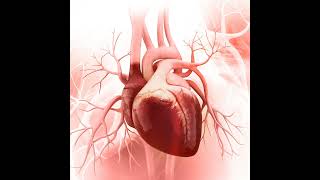 Right Ventricular Heart Failure [upl. by Halueb385]