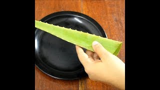 aloe vera for hair  3 ways  hair growth tips  aloe vera benefits [upl. by Claire]