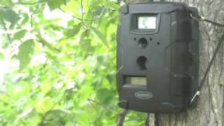 Moultrie GameSpy Trail Camera [upl. by Rennie25]