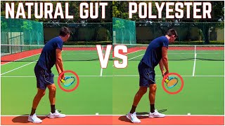 Natural Gut vs Polyester  Tennis String Comparison [upl. by Ahtis]