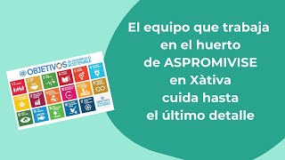 SOMOS CIS AGENDA2030 COSTERA [upl. by Latsyk]