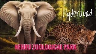 Dont Miss Out Nehru Zoological Park Hyderabad Complete Tour [upl. by Doubler]