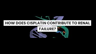 HOW DOES CISPLATIN CAUSE RENAL FAILURE [upl. by Annaerda251]