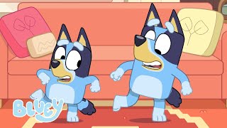 Saisons 1 2 et 3 Full Episode Comp  Bluey Français Chaîne Officielle [upl. by Allicerp649]