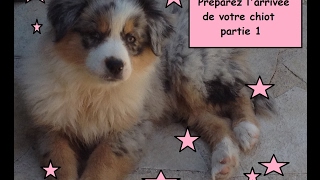 comment acceuillir son chiot partie 1 [upl. by Nonnerb]