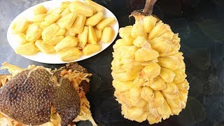 Amazing Jackfruit Cutting Skills  Amazing Way To Open a Big Jackfruit  How To Cut a jackfruit [upl. by Aelaza]