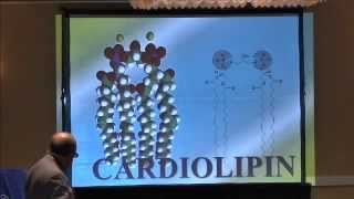 Rancid Radical Talk Music of Mitochondrial Cardiolipins [upl. by Lainad4]