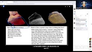 The Anatomically Correct Trim Hoof Research Course and Cooperative [upl. by Douglass]