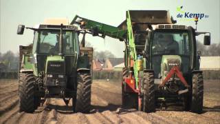 Bedrijfsfilm aspergeplanten Plantenkwekerij de Kemp [upl. by Heilman]