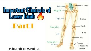 Clinicals of Lower Limb  Complete Clinicals Part 1 [upl. by Marbut157]