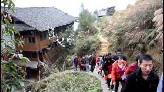 CHINA Guǎngxī  Lóng​shèng​ Rice Terraces 龙胜梯田 [upl. by Ellison]