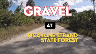 Gravel day at Picayune Strand State Forest [upl. by Fechter]