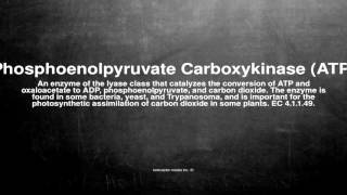 Medical vocabulary What does Phosphoenolpyruvate Carboxykinase ATP mean [upl. by Leler491]