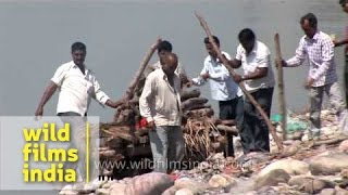 Burning dead body in Hindu cremation [upl. by Akinohs]