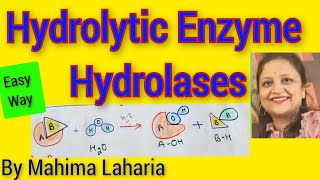 Hydrolytic Enzyme Classification Application nomenclaturesignificance [upl. by Yecac46]