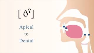 ðˁ  voiced pharyngealized apical dental non sibilant fricative [upl. by Sennahoj]