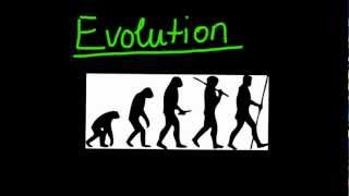 Einführung in die Evolution und die natürliche Selektion  Biologie [upl. by Niro]