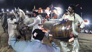 Horse Dance  Ghoda Kohe Noor  Ghoda Dance 2024  Horse Dance Festival Punjab all Pakistan [upl. by Zailer]