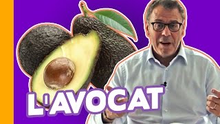 🥑LAvocat  AlimentMiracle ou Réserve de Graisses  JeanMichel Cohen [upl. by Thanh423]