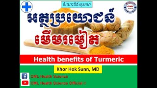 អត្ថប្រយោជន៍ មើមរមៀត l Health benefits of Turmerics l CML Health Science Official [upl. by Annirac]