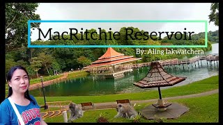 MacRitchie Reservoir  Alinglakwatchera [upl. by Glenden]