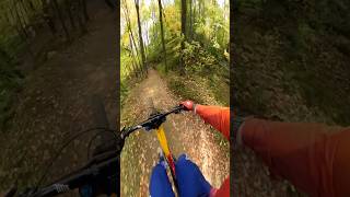 Some Speed and Flow mtb bike gopro [upl. by Jacobo]